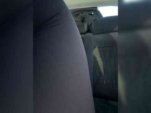 _Lally_ webcam