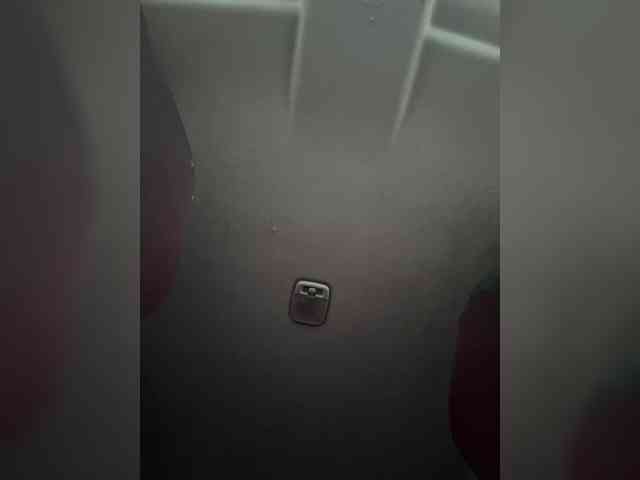 LedyMiya webcam