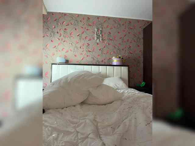 _Lally_ webcam