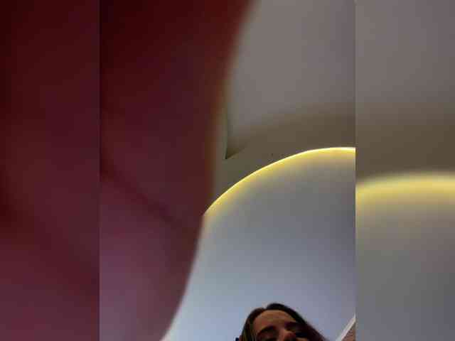 _Lally_ webcam