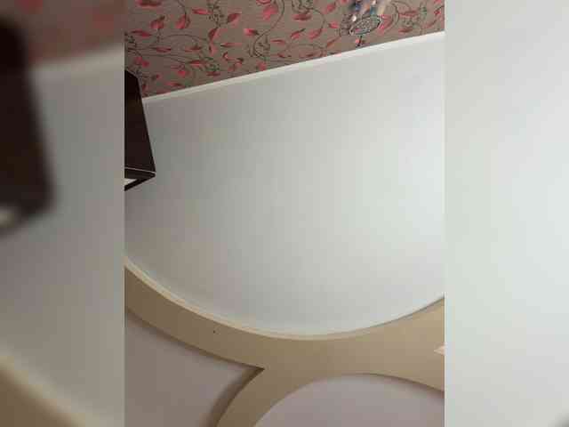 _Lally_ webcam