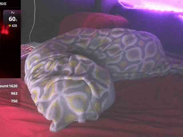 bubblybubbles webcam