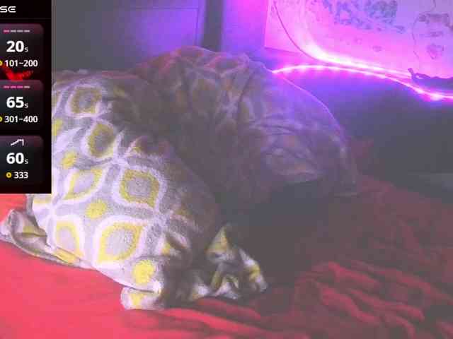 bubblybubbles webcam