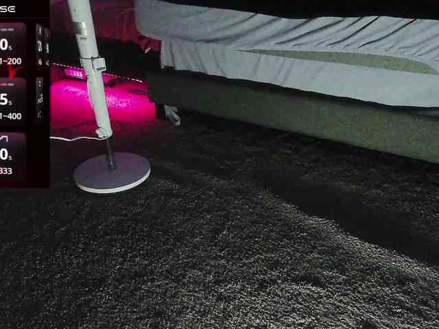 bubblybubbles webcam