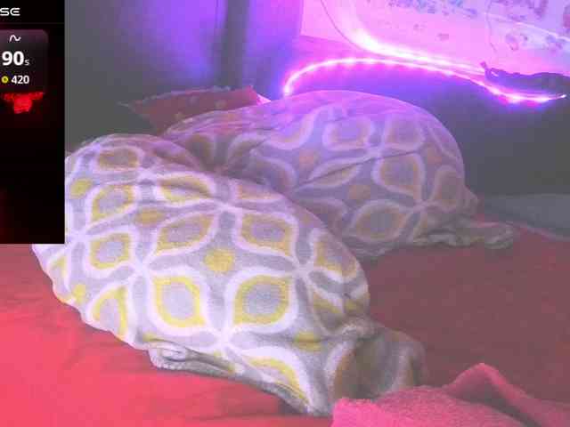 bubblybubbles webcam