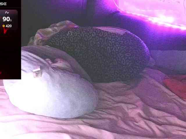 bubblybubbles webcam
