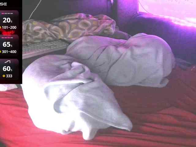 bubblybubbles webcam