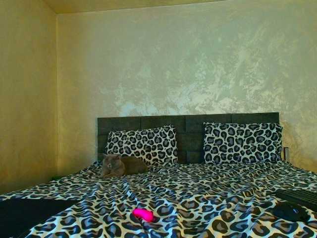 Preview of lauravanessa