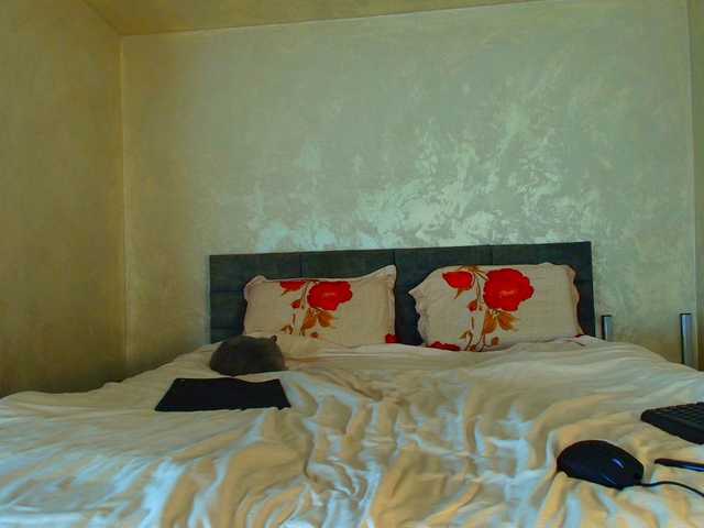 Preview of lauravanessa