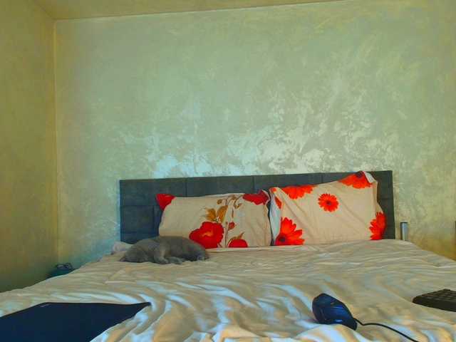 ParisVany26's BongaCams show and profile