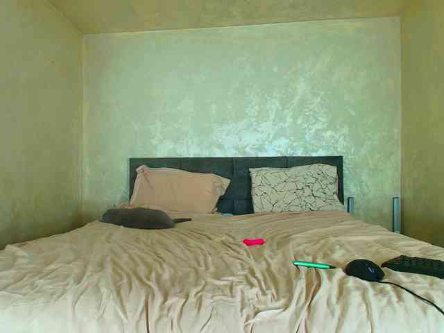 LauraVanessa webcam