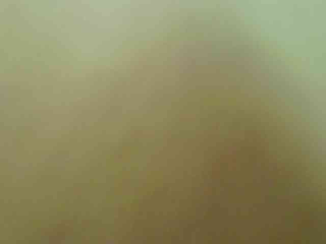 LauraVanessa webcam