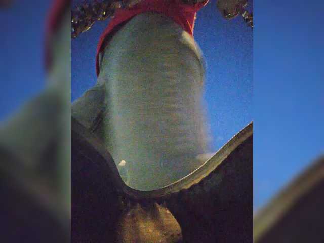 EditaMilf
