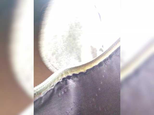 EditaMilf