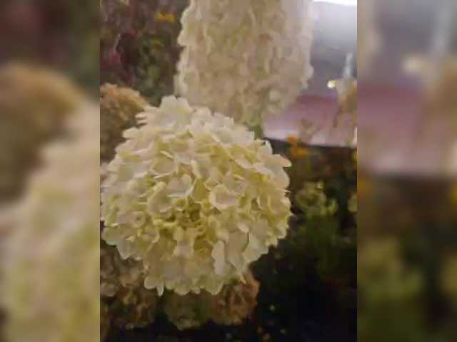 EditaMilf