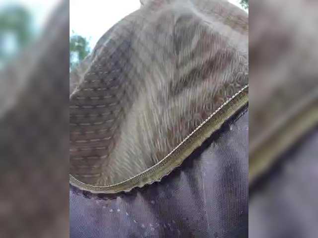 EditaMilf