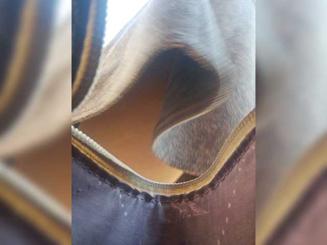 EditaMilf live webcam show