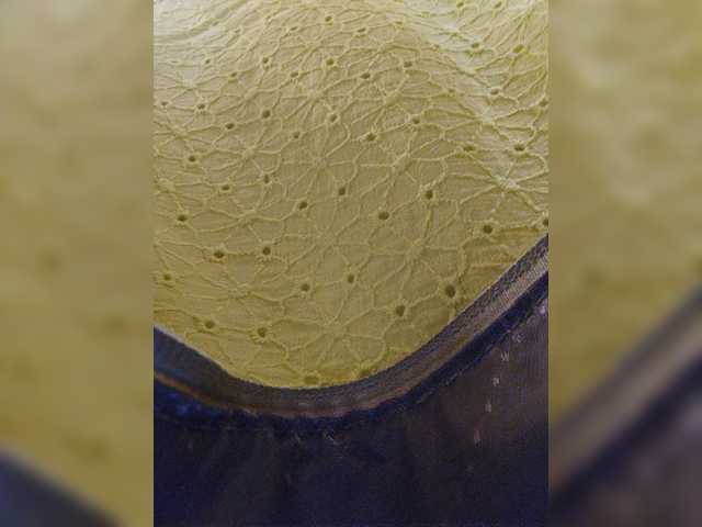 EditaMilf