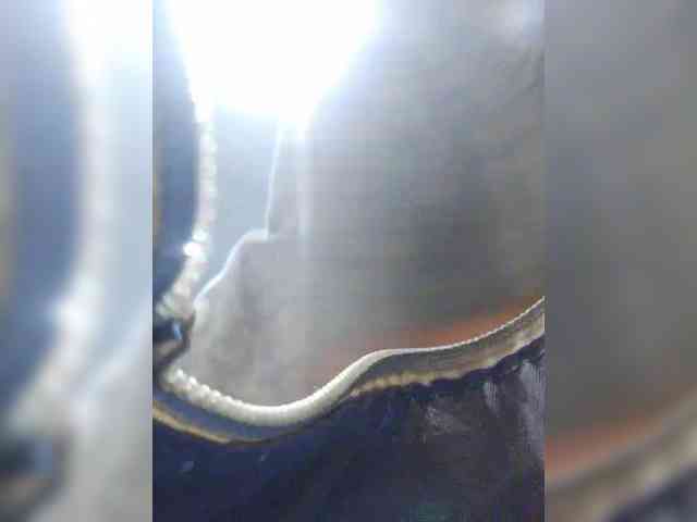 EditaMilf webcam