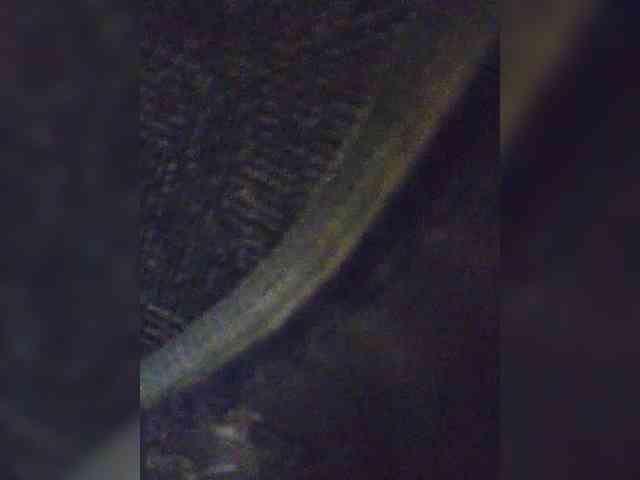 EditaMilf webcam