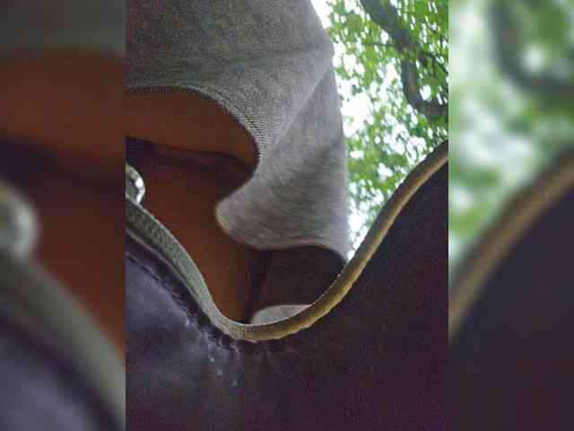 EditaMilf webcam