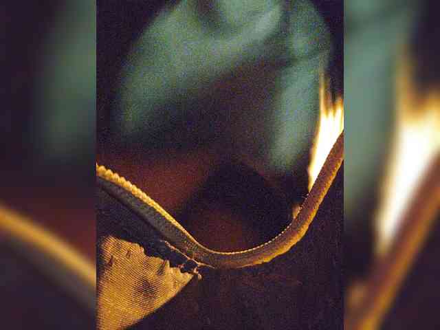 EditaMilf