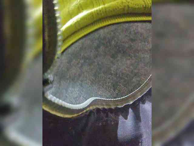 EditaMilf webcam