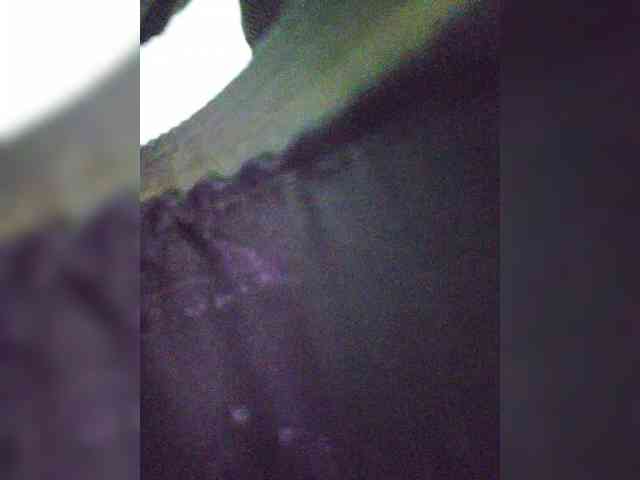 EditaMilf webcam