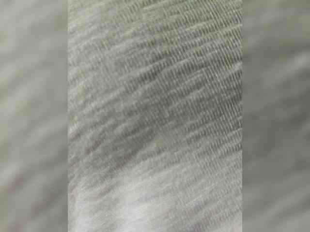 EditaMilf webcam
