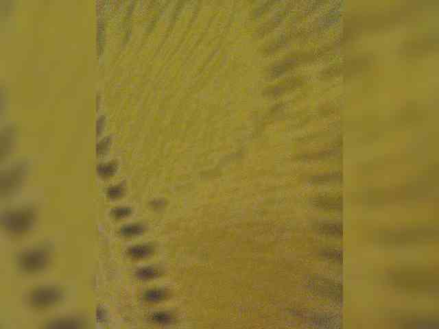 EditaMilf webcam