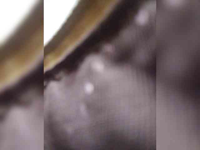EditaMilf webcam