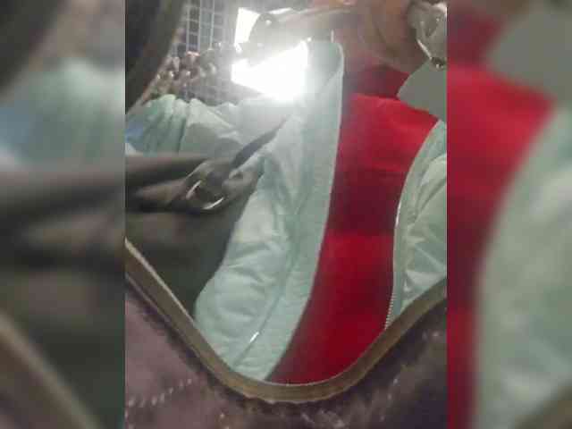 EditaMilf webcam