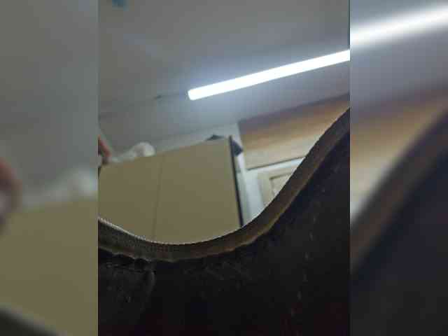 EditaMilf webcam