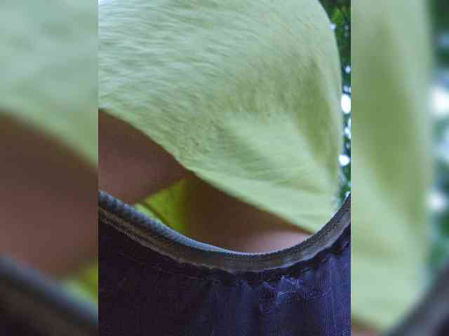 EditaMilf EditaMilf