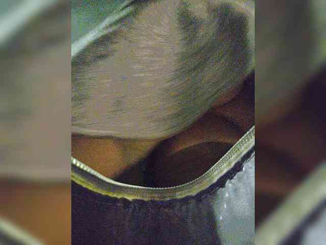 EditaMilf webcam