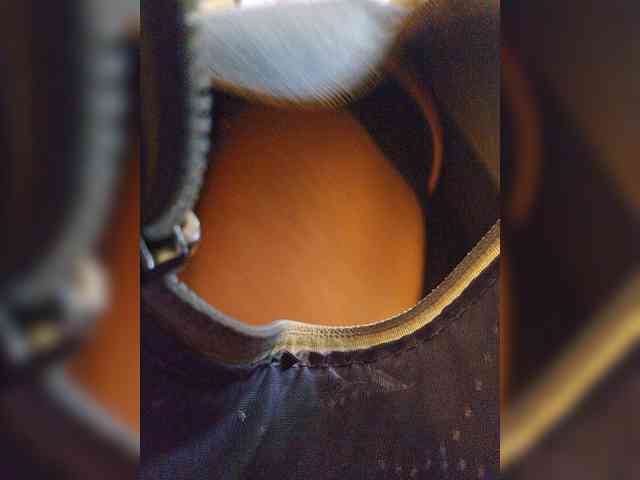 EditaMilf webcam