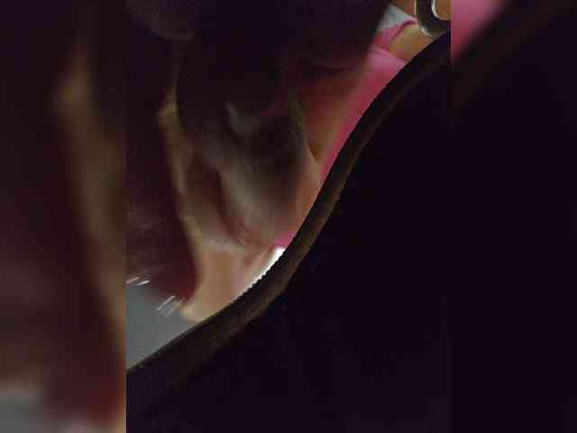 EditaMilf webcam