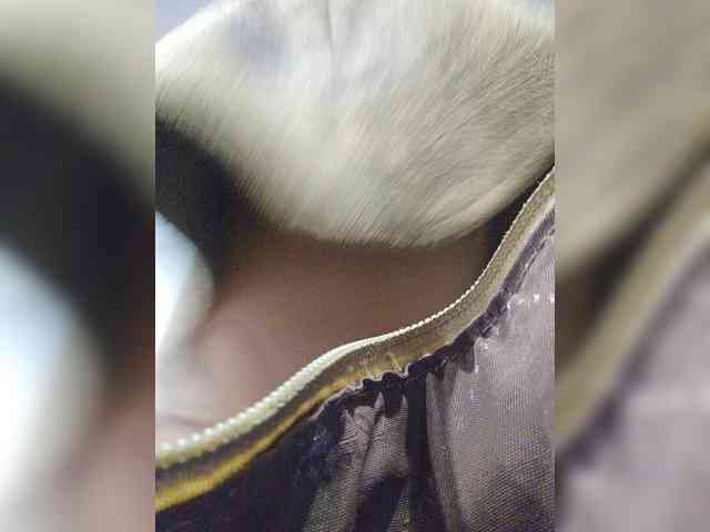 EditaMilf webcam