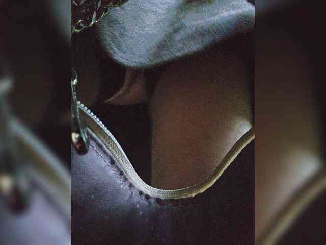 EditaMilf webcam