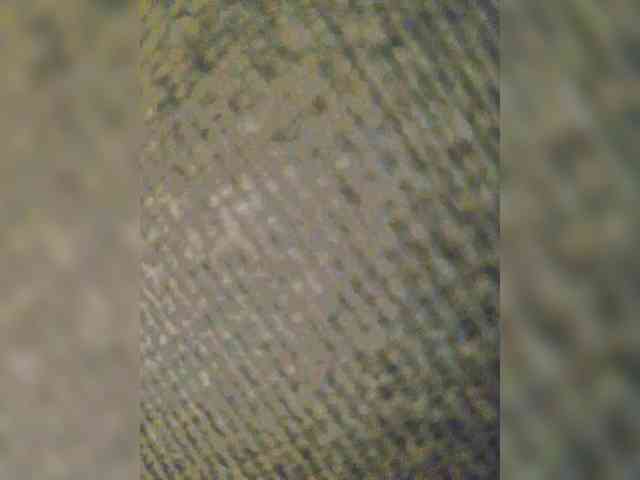 EditaMilf webcam