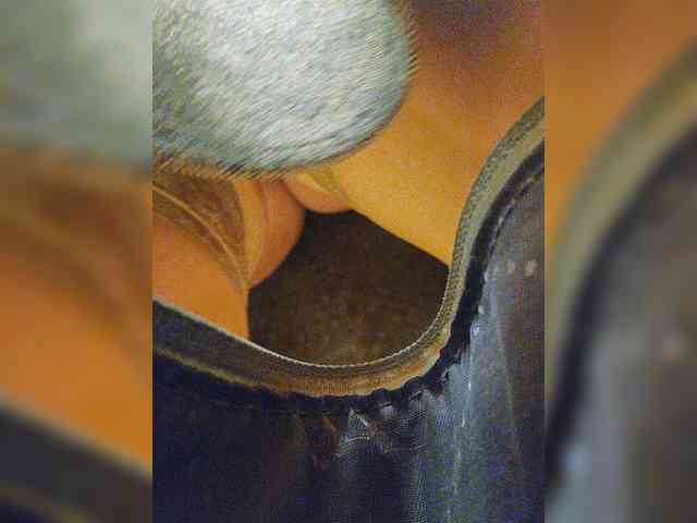 EditaMilf webcam