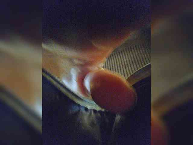 EditaMilf webcam