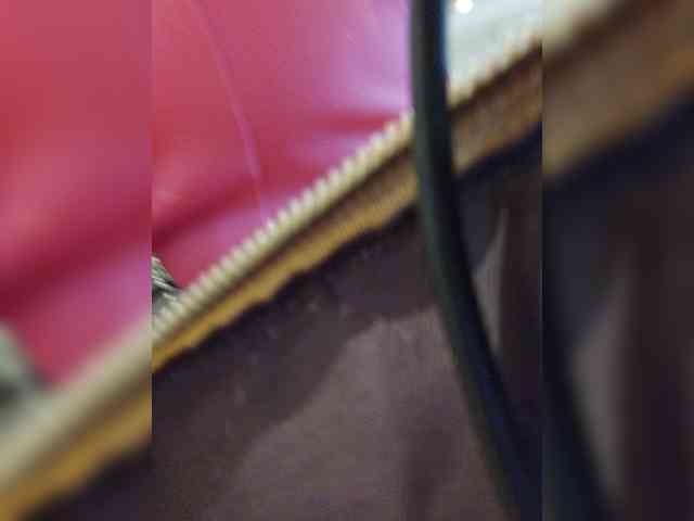 EditaMilf webcam