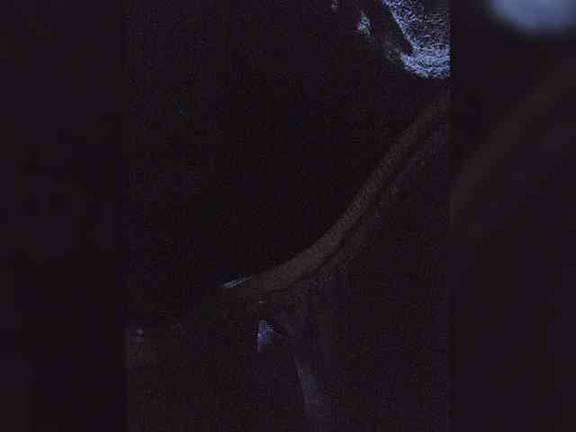 Model: EditaMilf