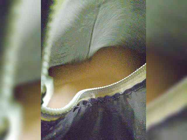 EditaMilf webcam
