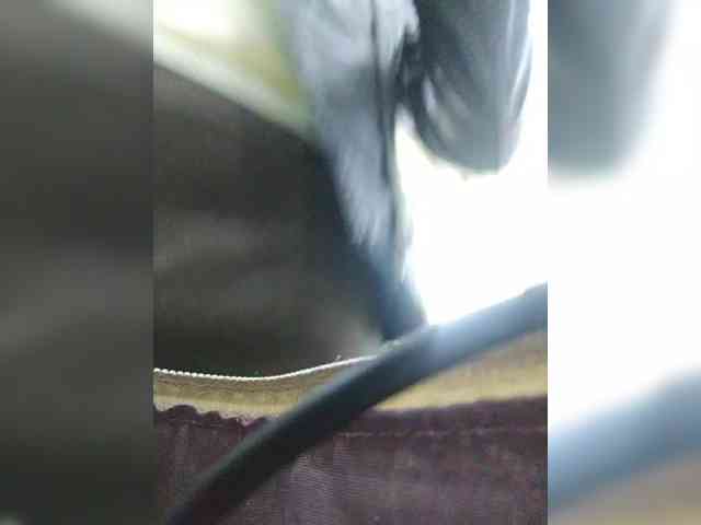 EditaMilf webcam