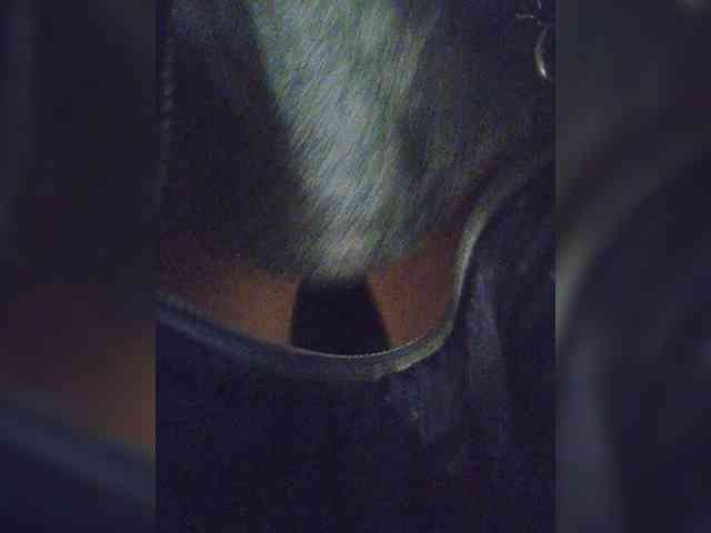 EditaMilf webcam