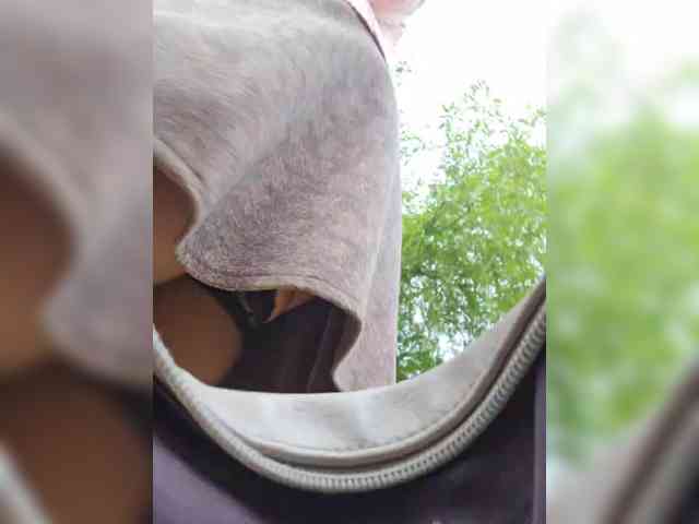 Model: EditaMilf
