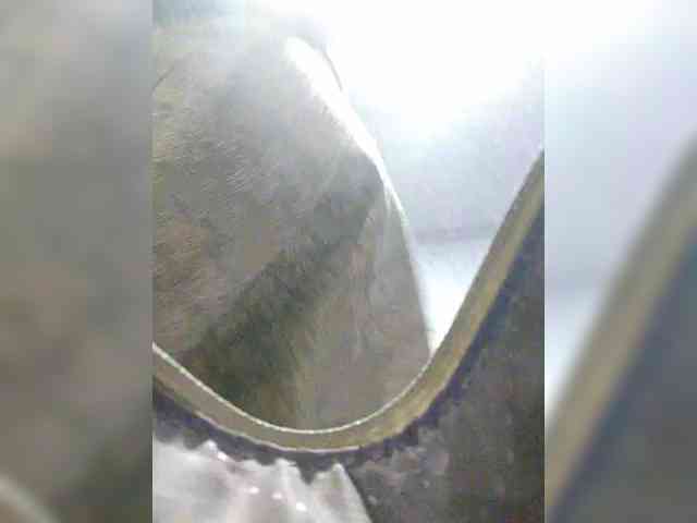 EditaMilf webcam