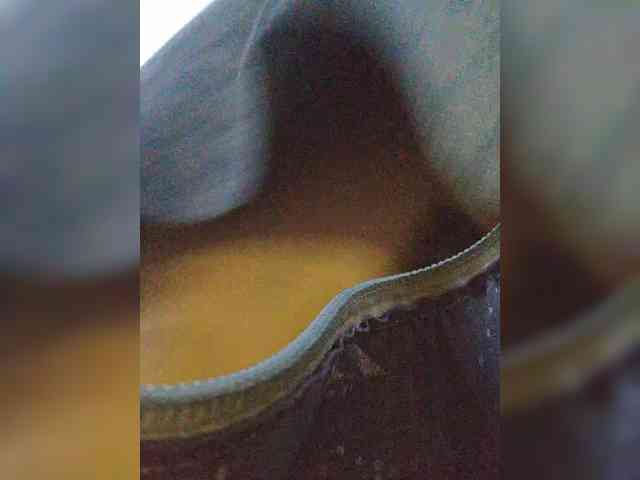 EditaMilf webcam